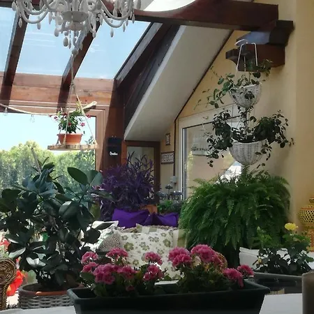 Homestay La Preferita 2 Vibo Valentia