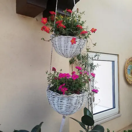 La Preferita 2 Vibo Valentia