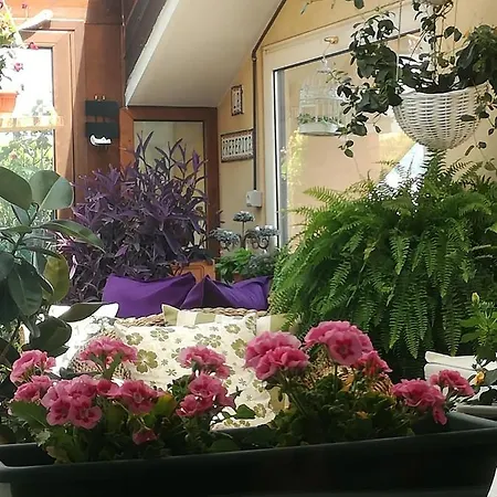 Accommodatie bij particulieren La Preferita 2 *