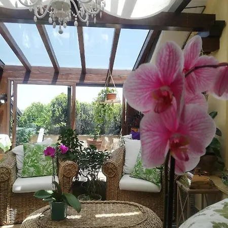 La Preferita 2 Accommodatie bij particulieren Vibo Valentia